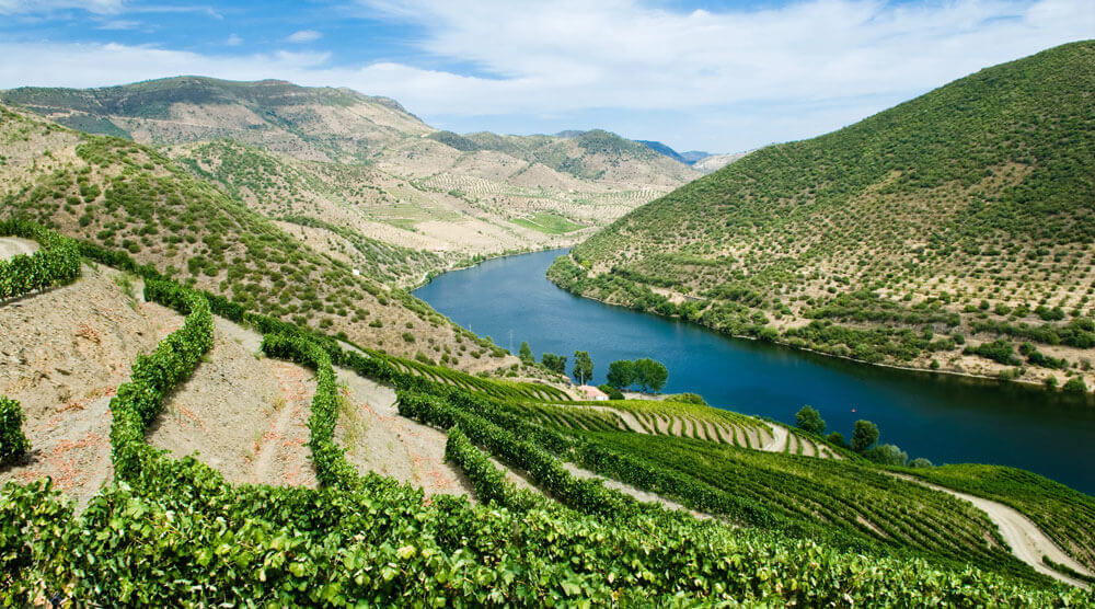 La vallée du Douro au Portugal